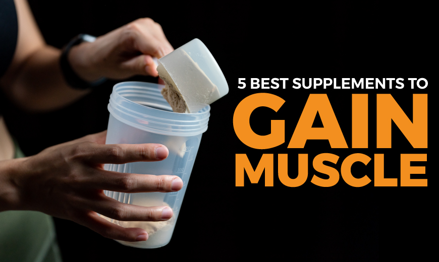 Best Supplements to Gain Muscle