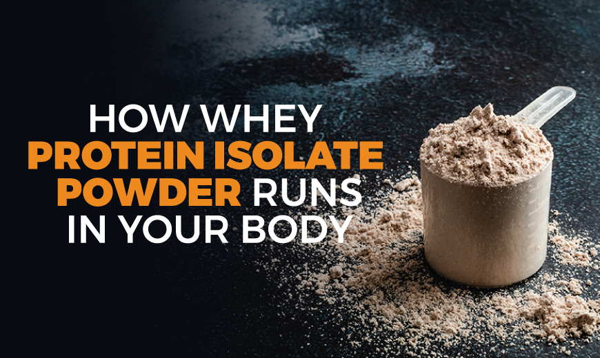 Whey Protein Isolate Powder