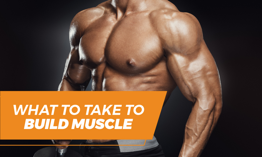 Build Muscle Supplements